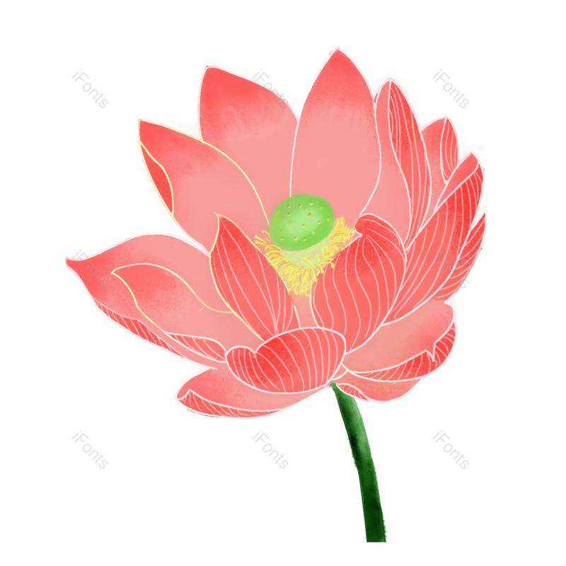 水墨图片,中国风元素,荷花PNG,插画免抠素材
